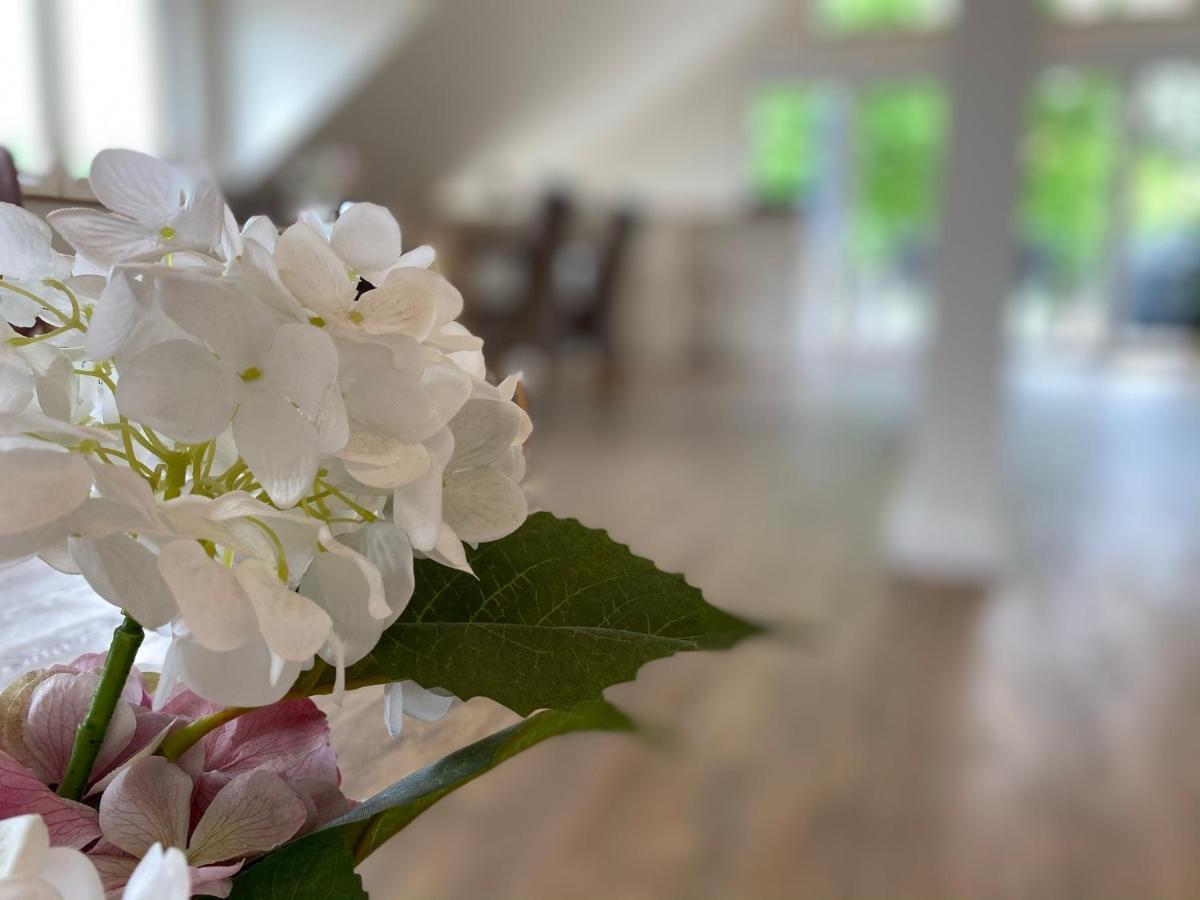 Ferienwohnung Koehler Bispingen Εξωτερικό φωτογραφία
